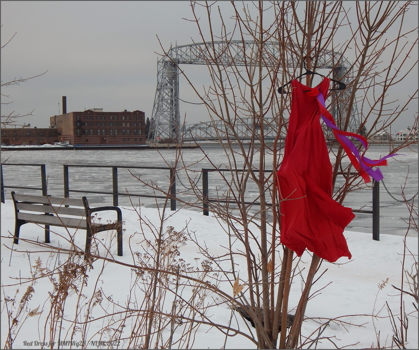 Red Dress Campaign MMIW, Duluth MN. A campaign to bring awareness and commemorate the epidemic of missing and murdered Indigenous women.